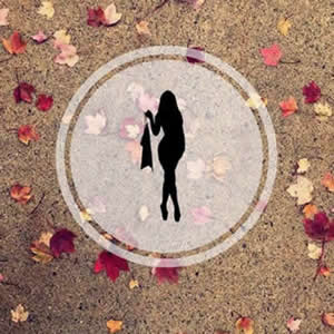 ��������������˽�