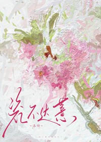 �ɲ���޲